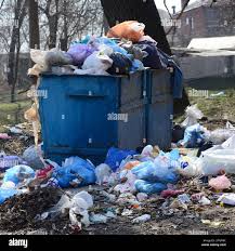 Professional Junk Removal Services in Daphne, AL